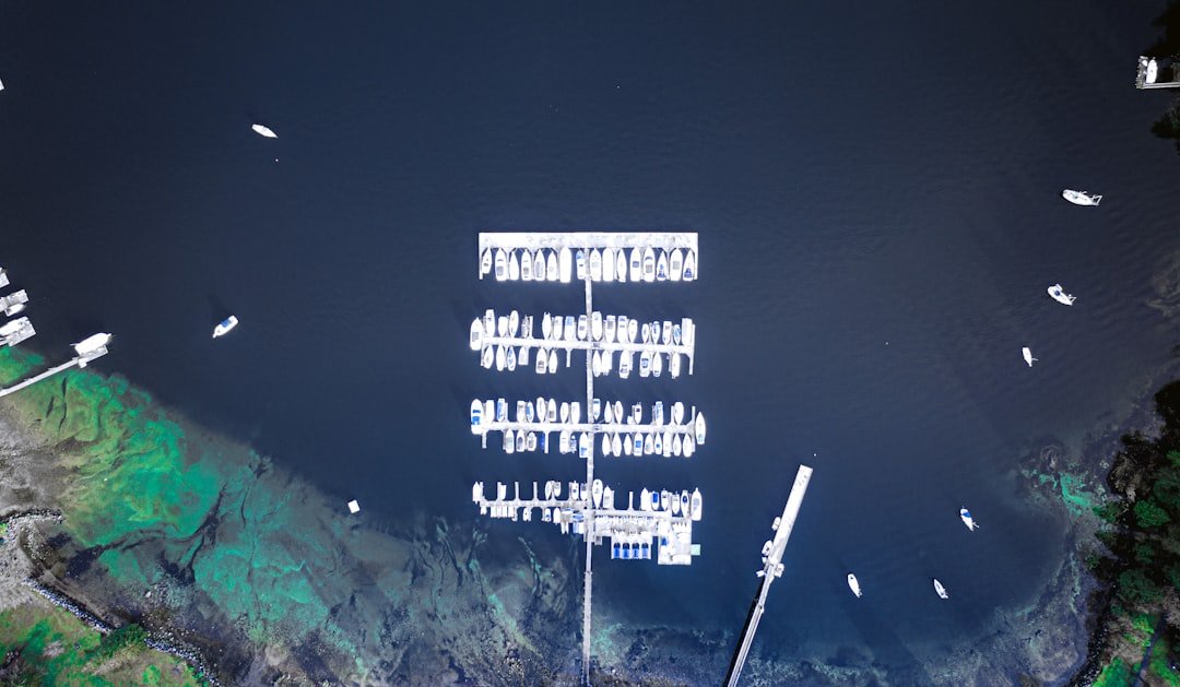 Marine environment supporting hydrographic survey case study